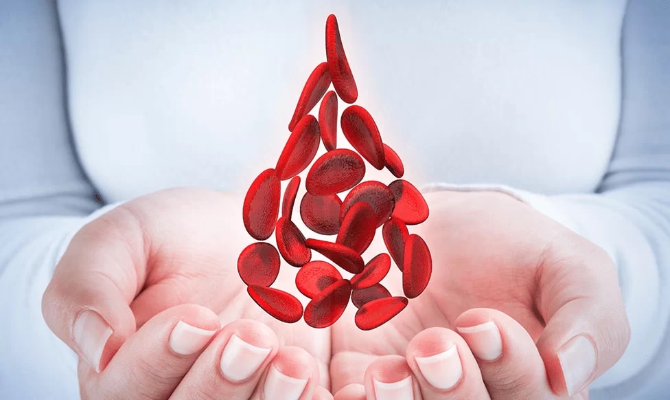 Endocrinology and Hematology